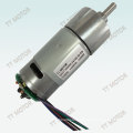 TT Motor of  dc gear motor GM37-555